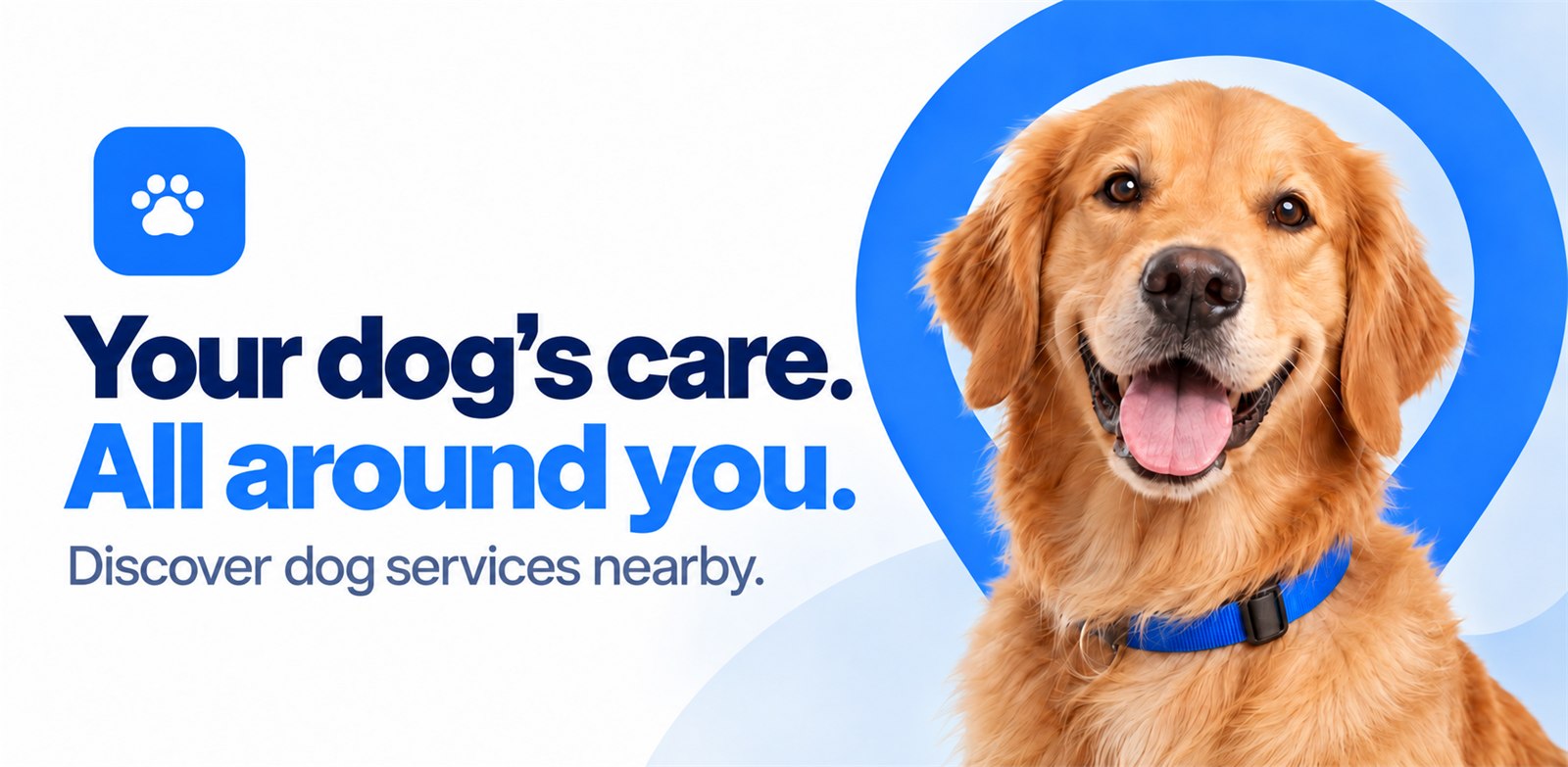 Your dog's care, all around you — a smiling golden retriever beside the Collaro paw logo