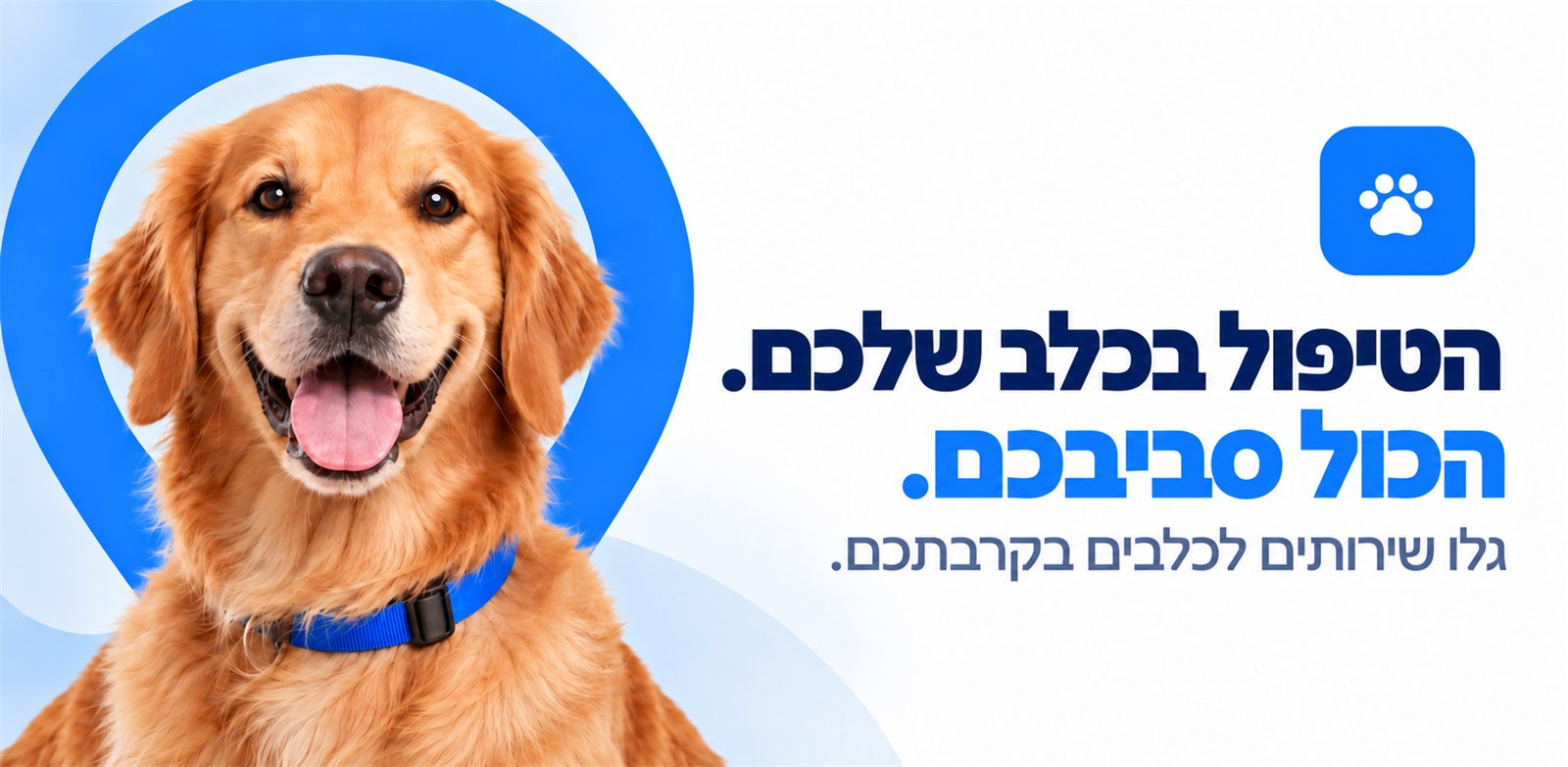 הטיפול בכלב שלכם, הכול סביבכם — גולדן רטריבר מחייך לצד לוגו כף הרגל של Collaro